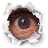 peeping.gif (5726 bytes)